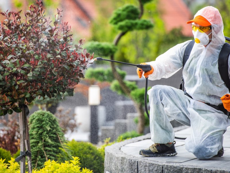 Güçlükonak Haşere İlaçlama